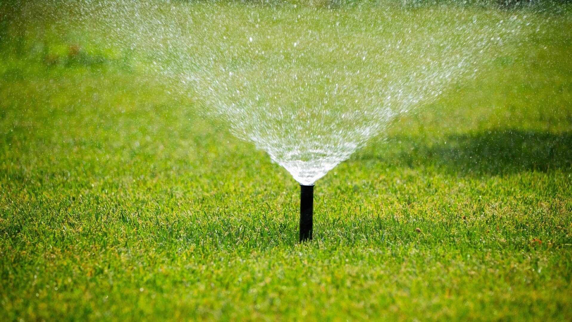 Sprinkler maintenance services